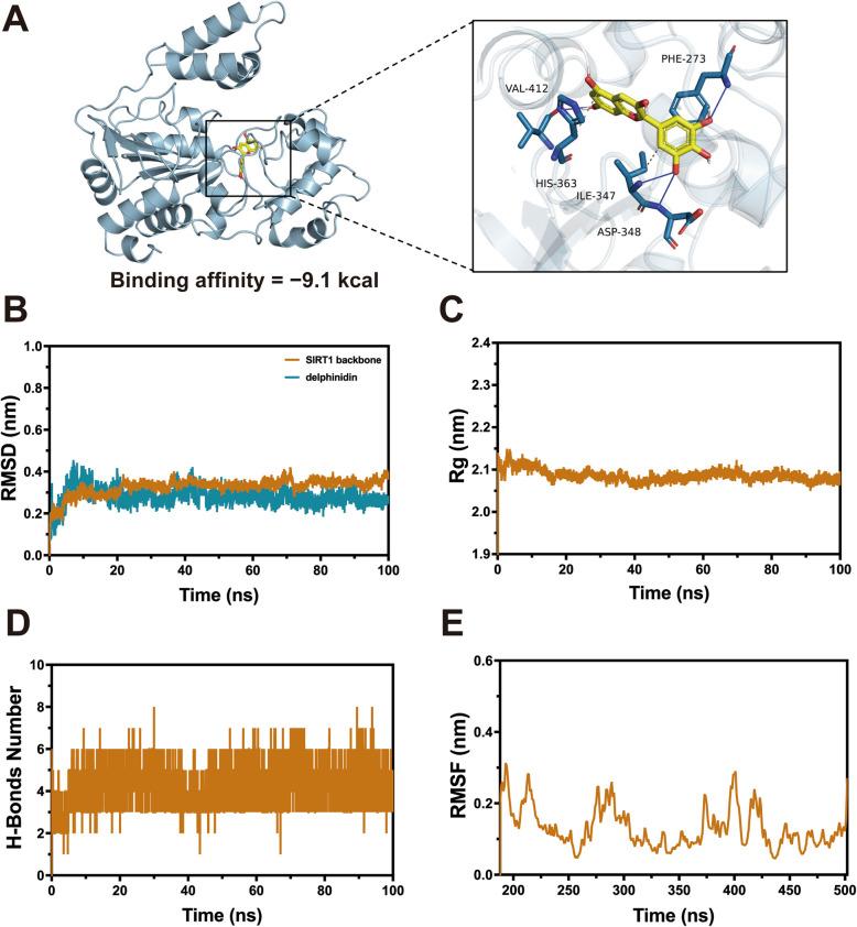 https://cdn.ncbi.nlm.nih.gov/pmc/blobs/b720/12180243/404acf2478b7/13195_2025_1783_Fig10_HTML.jpg