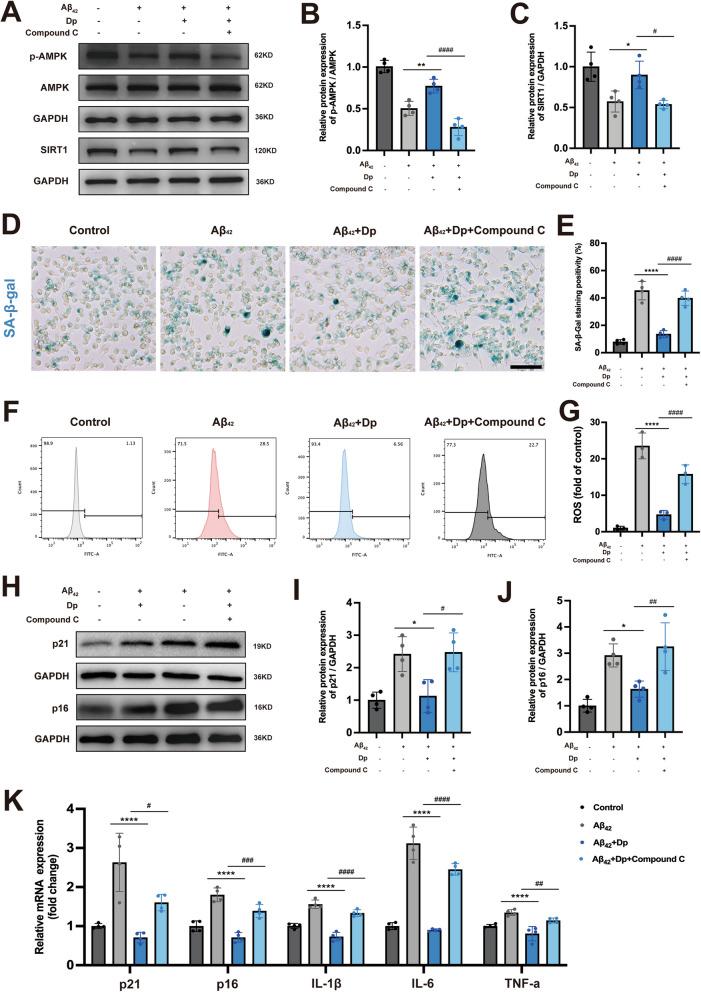 https://cdn.ncbi.nlm.nih.gov/pmc/blobs/b720/12180243/512760f612f9/13195_2025_1783_Fig9_HTML.jpg
