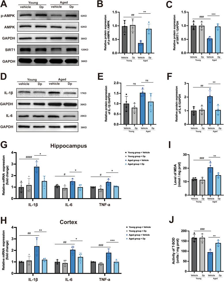 https://cdn.ncbi.nlm.nih.gov/pmc/blobs/b720/12180243/53be29876b31/13195_2025_1783_Fig12_HTML.jpg