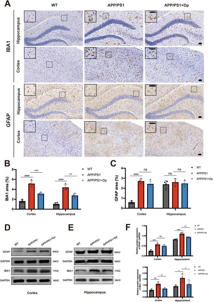 https://cdn.ncbi.nlm.nih.gov/pmc/blobs/b720/12180243/67609d8ea442/13195_2025_1783_Fig4_HTML.jpg