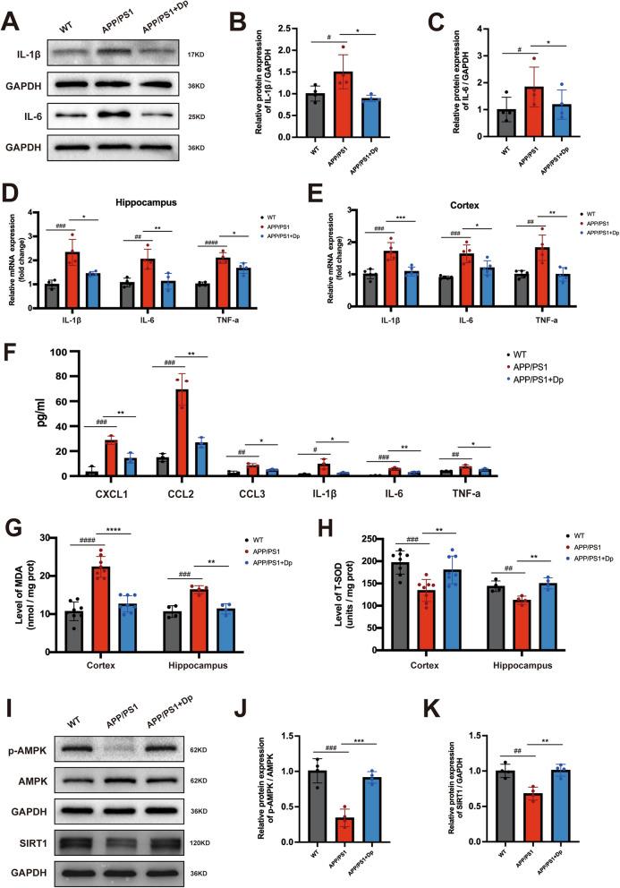 https://cdn.ncbi.nlm.nih.gov/pmc/blobs/b720/12180243/7b4b700885b5/13195_2025_1783_Fig5_HTML.jpg