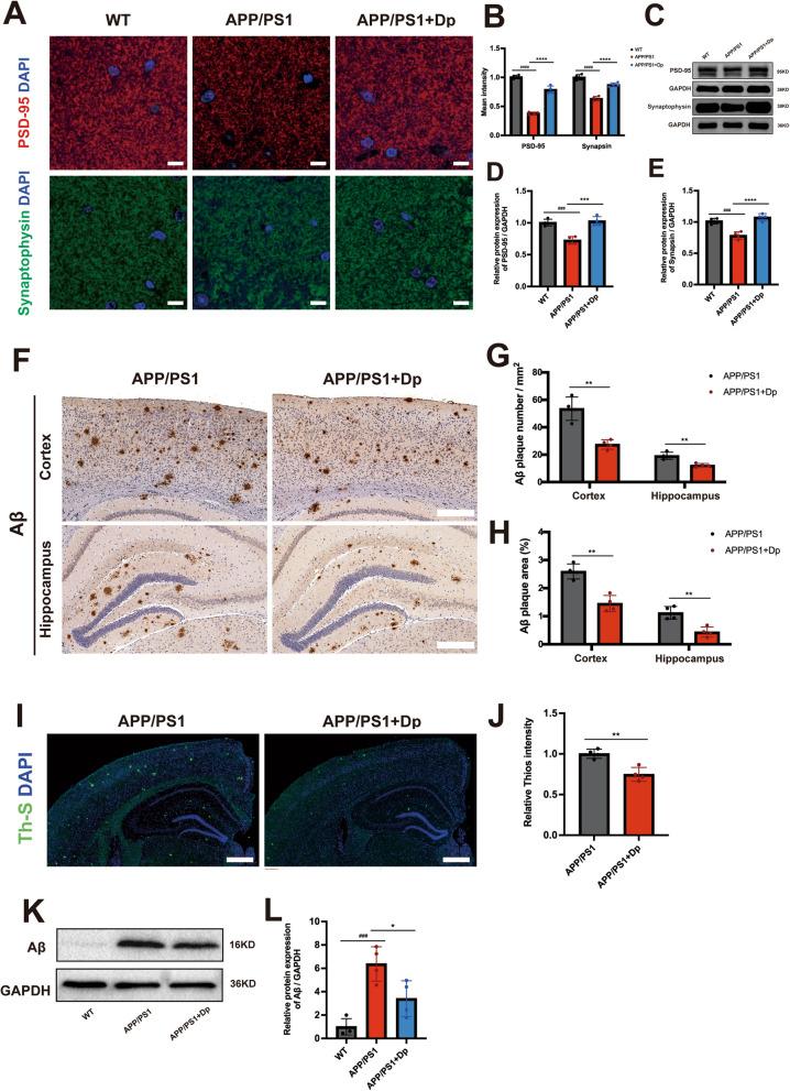 https://cdn.ncbi.nlm.nih.gov/pmc/blobs/b720/12180243/7c9c5cb38dd5/13195_2025_1783_Fig3_HTML.jpg