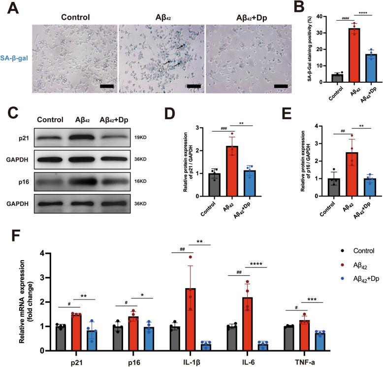 https://cdn.ncbi.nlm.nih.gov/pmc/blobs/b720/12180243/b6c520eb2955/13195_2025_1783_Fig7_HTML.jpg