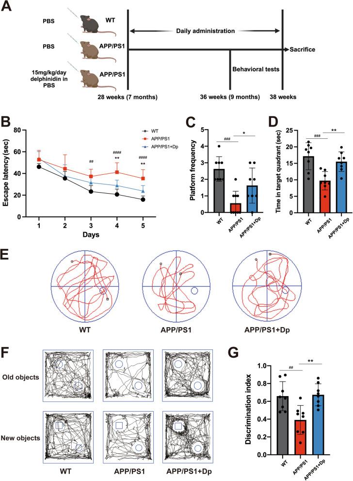 https://cdn.ncbi.nlm.nih.gov/pmc/blobs/b720/12180243/f551fe7865e1/13195_2025_1783_Fig1_HTML.jpg