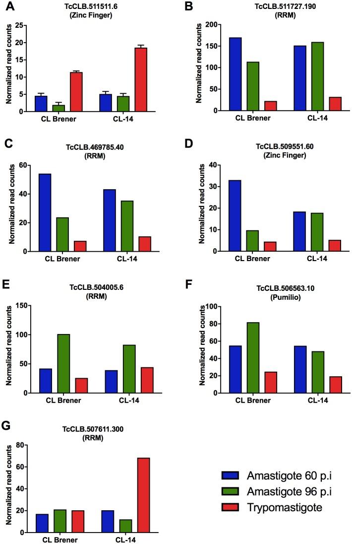 https://cdn.ncbi.nlm.nih.gov/pmc/blobs/b720/5746284/fac76ba38a62/ppat.1006767.g005.jpg