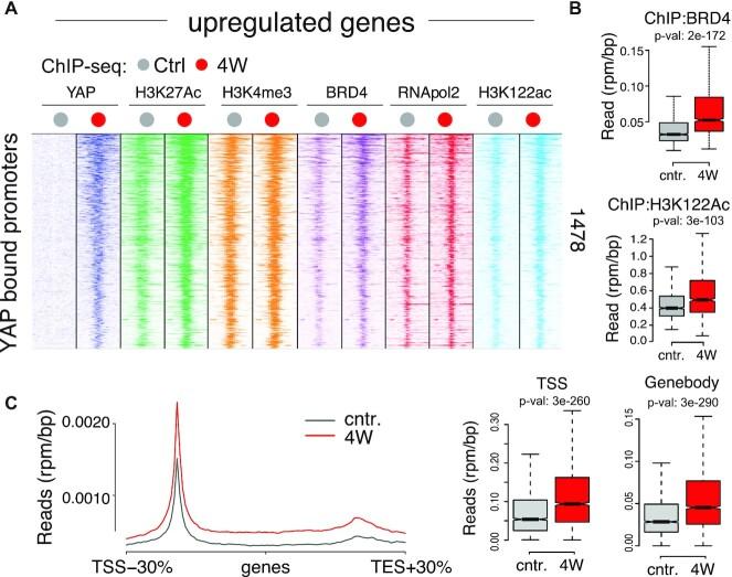 https://cdn.ncbi.nlm.nih.gov/pmc/blobs/b721/9371928/66ce8a7b3b4b/gkac624fig3.jpg