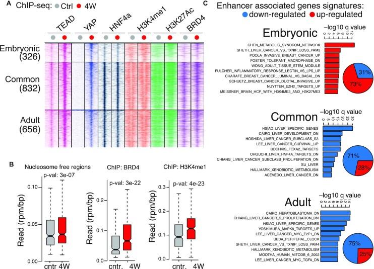 https://cdn.ncbi.nlm.nih.gov/pmc/blobs/b721/9371928/7fdc38cd9021/gkac624fig5.jpg