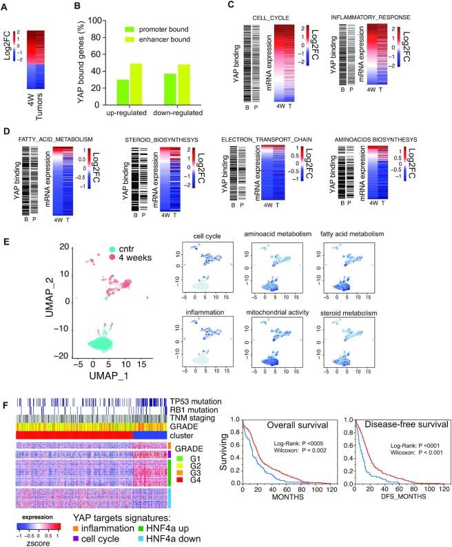 https://cdn.ncbi.nlm.nih.gov/pmc/blobs/b721/9371928/f7fd9741875f/gkac624fig2.jpg