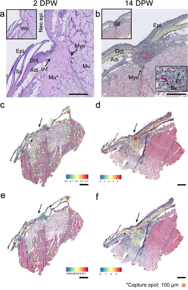 https://cdn.ncbi.nlm.nih.gov/pmc/blobs/b722/12036301/91480bf926e0/12915_2025_2196_Fig5_HTML.jpg