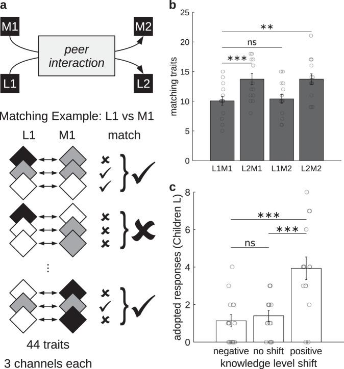 https://cdn.ncbi.nlm.nih.gov/pmc/blobs/b722/6713729/e477117e948e/41539_2019_51_Fig2_HTML.jpg