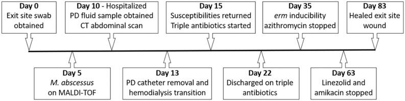 https://cdn.ncbi.nlm.nih.gov/pmc/blobs/b722/9585541/9ad2af33a056/10.1177_11297298211015083-fig1.jpg