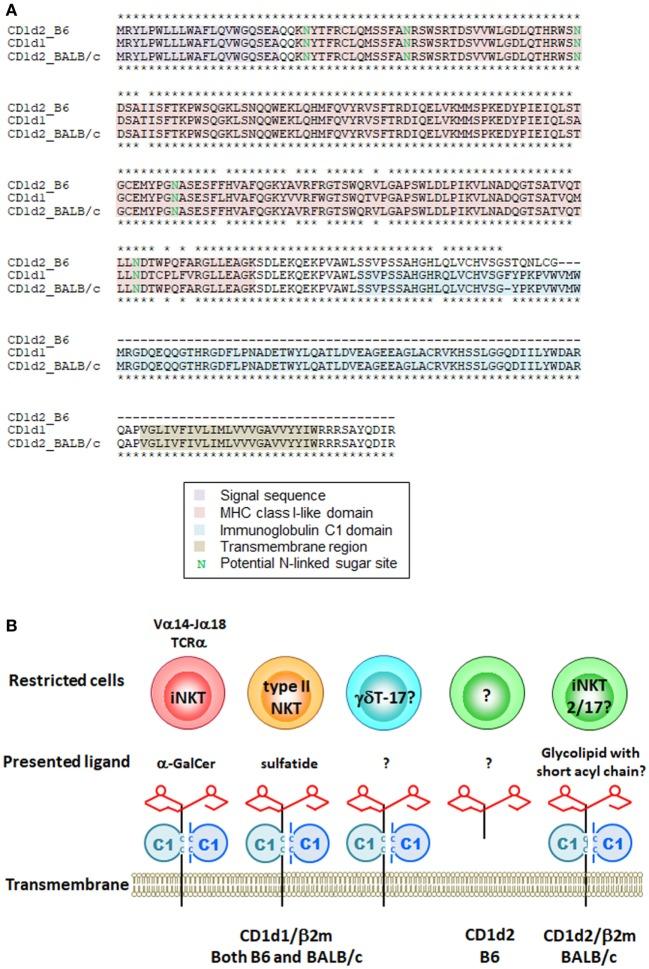 https://cdn.ncbi.nlm.nih.gov/pmc/blobs/b723/6010523/cb8dbda919db/fimmu-09-01294-g001.jpg