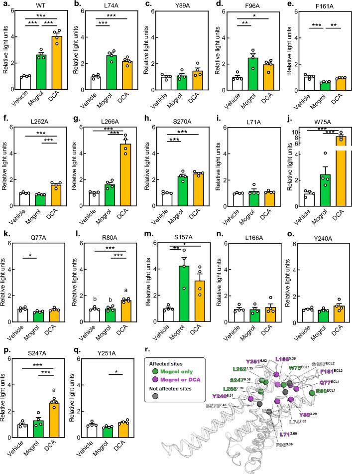 https://cdn.ncbi.nlm.nih.gov/pmc/blobs/b725/10853268/312dce52db27/41598_2024_53380_Fig4_HTML.jpg