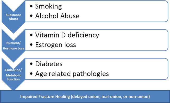 https://cdn.ncbi.nlm.nih.gov/pmc/blobs/b726/6150073/0f20df13a62b/gr2.jpg