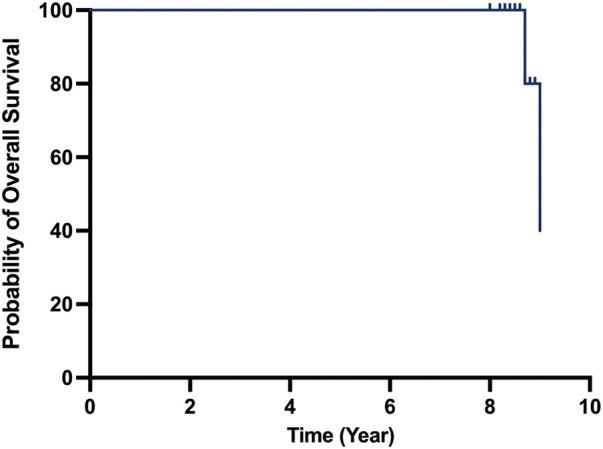 https://cdn.ncbi.nlm.nih.gov/pmc/blobs/b728/12055277/34a3b0b78cc0/atcs-31-1-24-00152-figure01.jpg