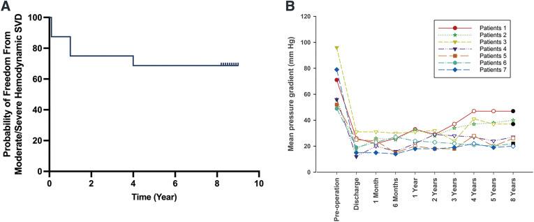 https://cdn.ncbi.nlm.nih.gov/pmc/blobs/b728/12055277/49f52b933395/atcs-31-1-24-00152-figure03.jpg