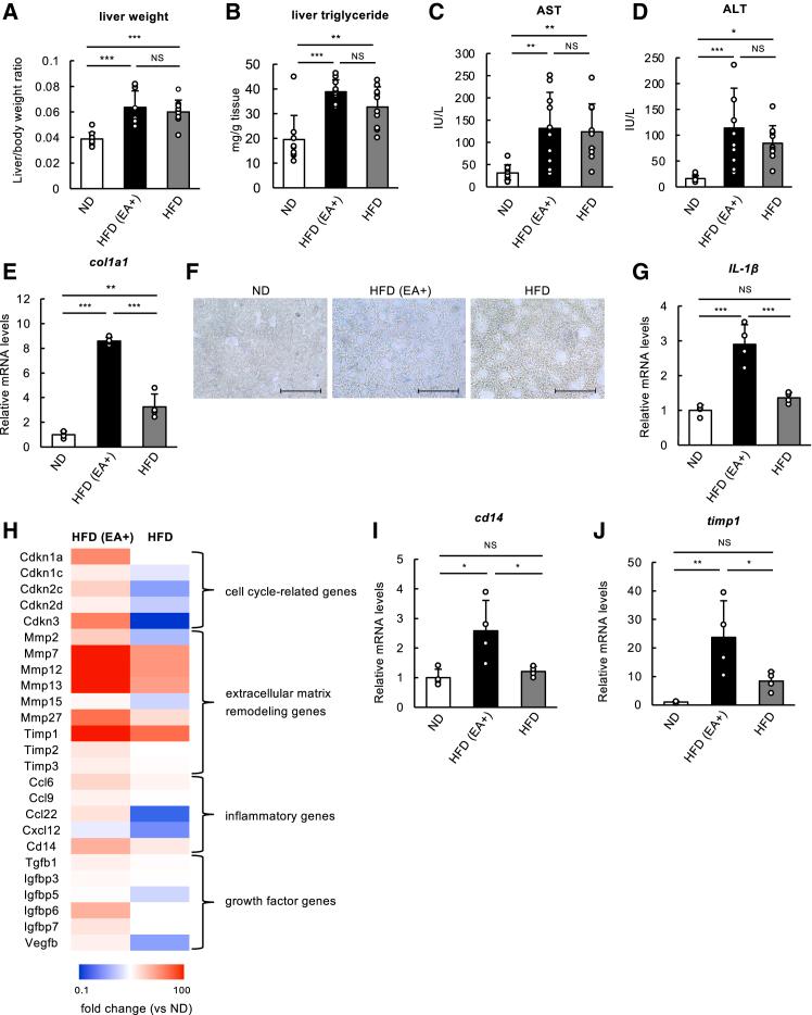 https://cdn.ncbi.nlm.nih.gov/pmc/blobs/b729/12396248/0f69b810aa94/gr5.jpg