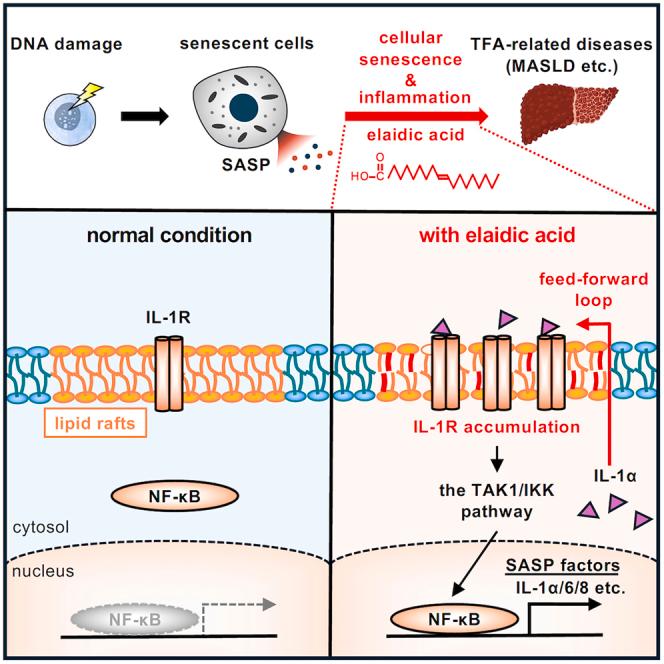 https://cdn.ncbi.nlm.nih.gov/pmc/blobs/b729/12396248/247cd45ba10a/fx1.jpg