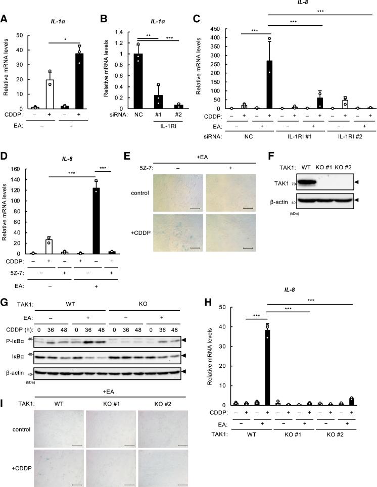 https://cdn.ncbi.nlm.nih.gov/pmc/blobs/b729/12396248/4af9ce3daf13/gr3.jpg