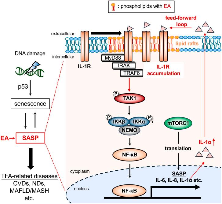 https://cdn.ncbi.nlm.nih.gov/pmc/blobs/b729/12396248/5ccf8dcdd518/gr6.jpg