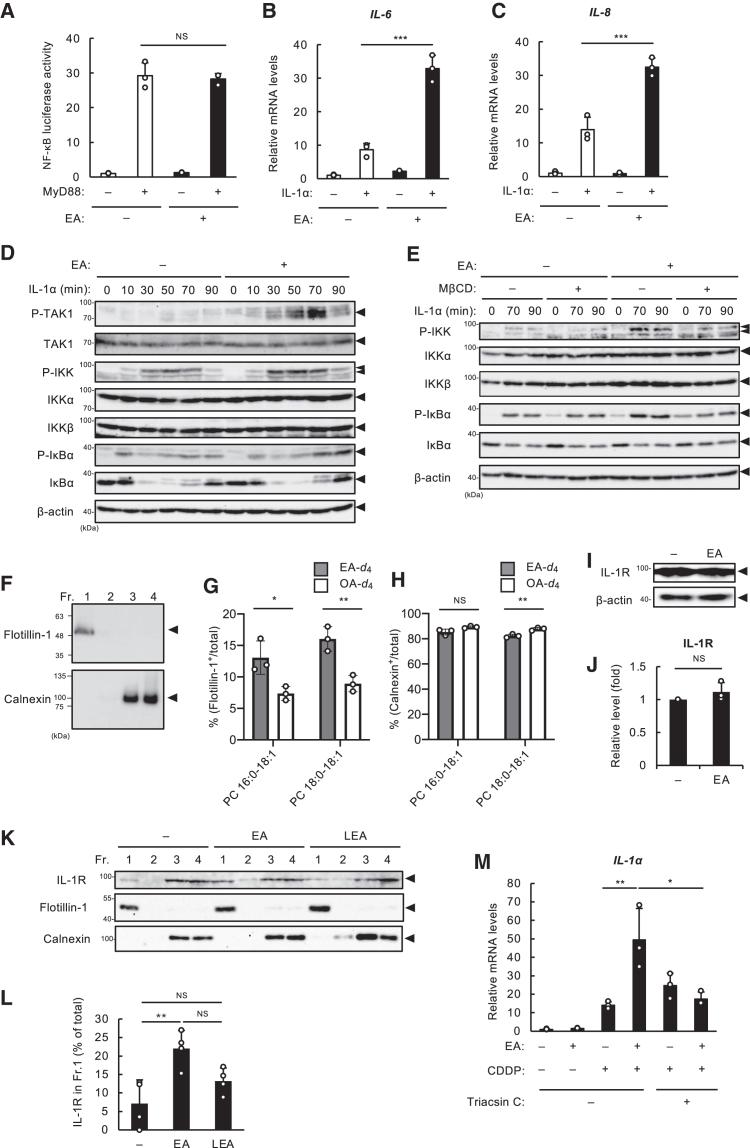 https://cdn.ncbi.nlm.nih.gov/pmc/blobs/b729/12396248/8ee0d98ea40f/gr4.jpg