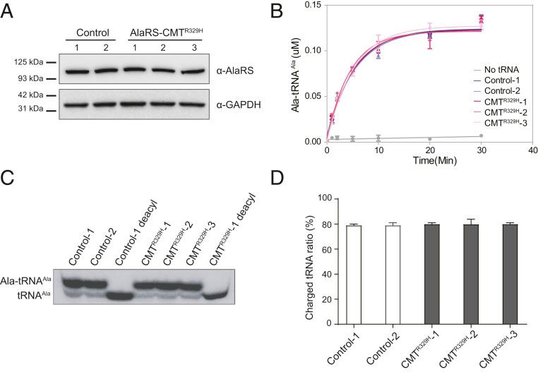 https://cdn.ncbi.nlm.nih.gov/pmc/blobs/b729/8020758/8b2ae6b8a58d/pnas.2012898118fig03.jpg
