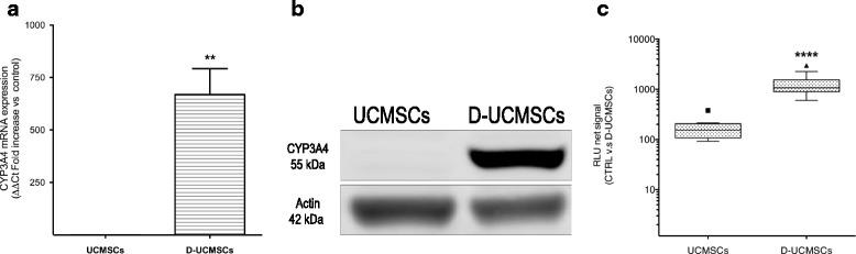 https://cdn.ncbi.nlm.nih.gov/pmc/blobs/b72a/5622580/ef7add753429/13287_2017_656_Fig1_HTML.jpg