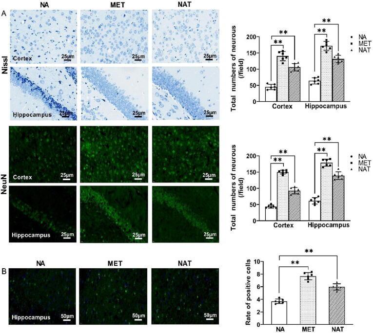 https://cdn.ncbi.nlm.nih.gov/pmc/blobs/b72e/10555787/543f23cf4ed2/gr2.jpg