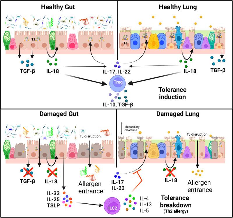 https://cdn.ncbi.nlm.nih.gov/pmc/blobs/b72f/9923236/c634edfcdc84/falgy-04-1093800-g001.jpg