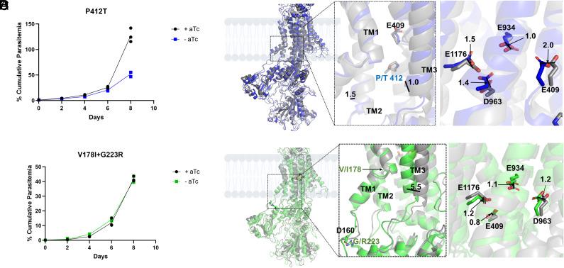 https://cdn.ncbi.nlm.nih.gov/pmc/blobs/b730/11745376/04e3a6e9d4f3/pnas.2403689122fig04.jpg