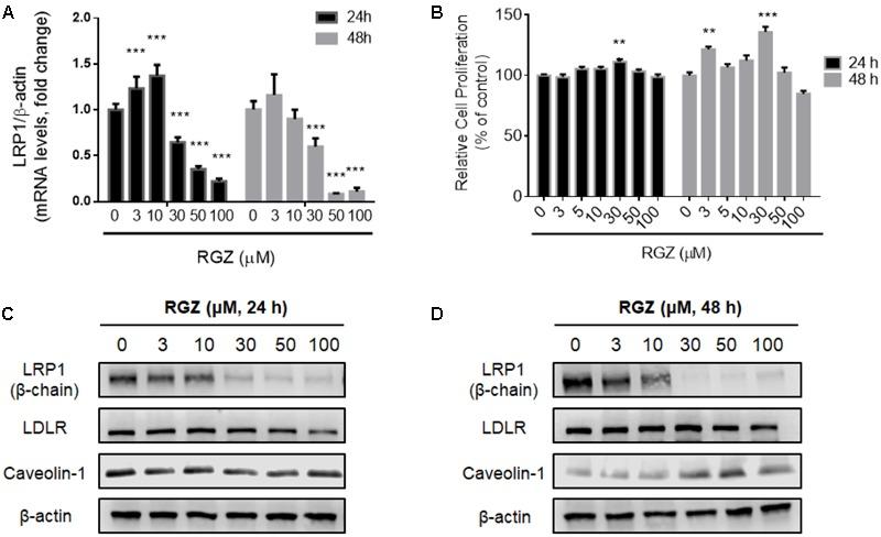 https://cdn.ncbi.nlm.nih.gov/pmc/blobs/b731/5696635/14f312e961d3/fphar-08-00772-g001.jpg