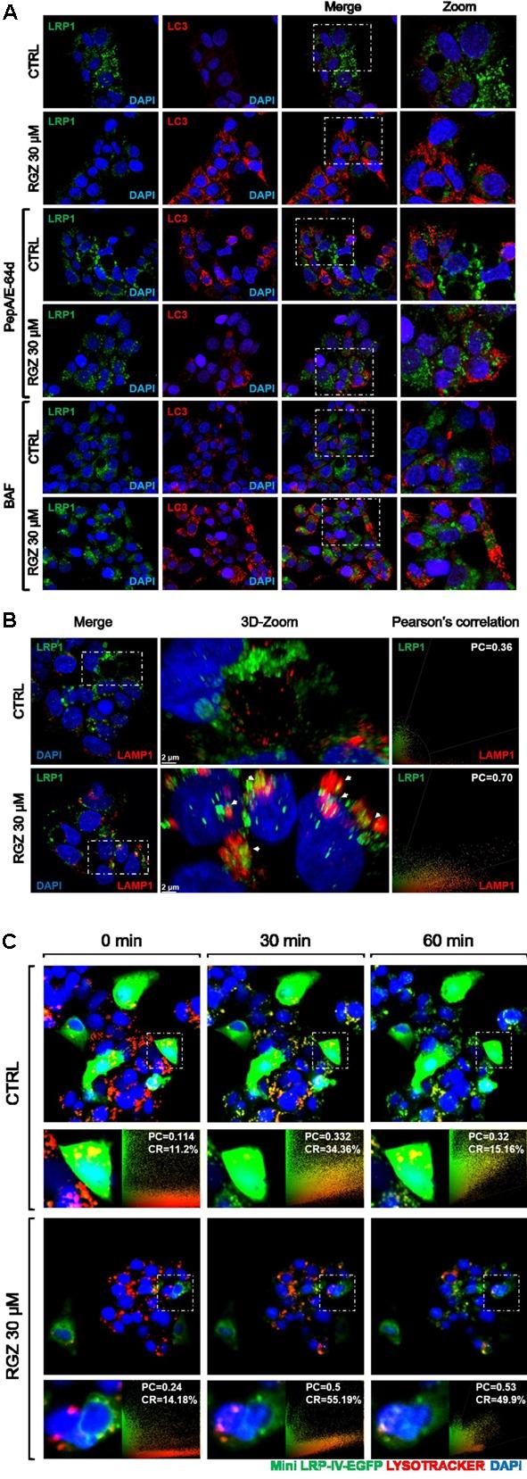 https://cdn.ncbi.nlm.nih.gov/pmc/blobs/b731/5696635/b2cabb88d1da/fphar-08-00772-g004.jpg