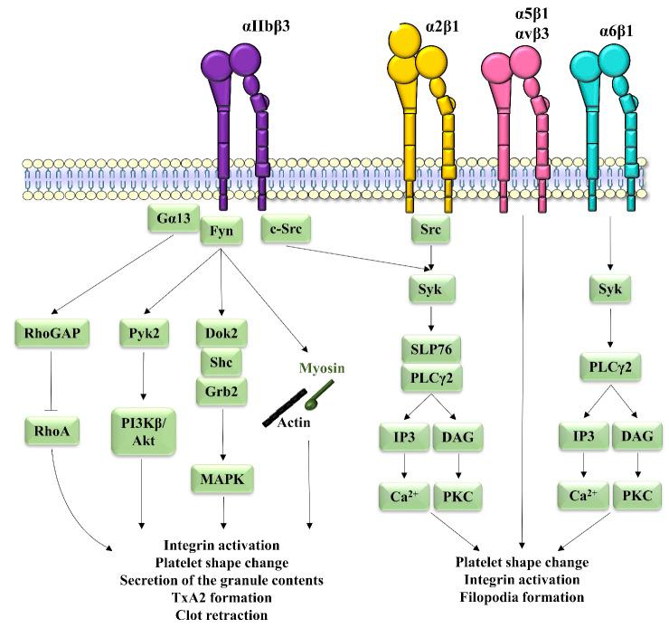 https://cdn.ncbi.nlm.nih.gov/pmc/blobs/b734/10316258/0a9aa880221b/1081734.fig3.jpg