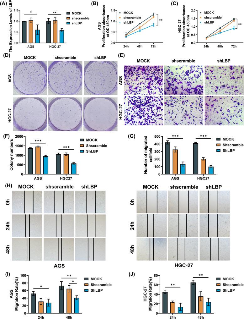 https://cdn.ncbi.nlm.nih.gov/pmc/blobs/b736/11951659/6f664145cc6a/12876_2025_3794_Fig6_HTML.jpg