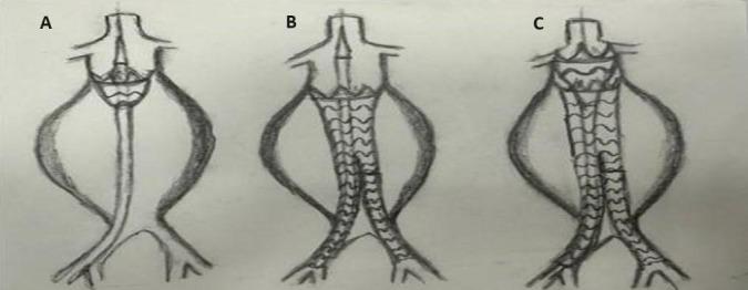 https://cdn.ncbi.nlm.nih.gov/pmc/blobs/b739/11270054/4d6092c354c7/2153-8174-25-6-224-g3.jpg