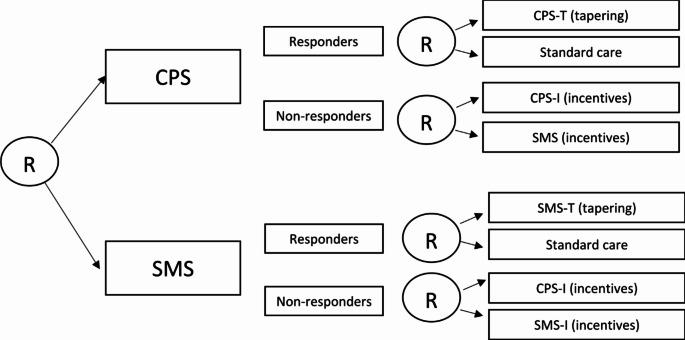 https://cdn.ncbi.nlm.nih.gov/pmc/blobs/b739/11830638/09a739a145ee/10461_2024_4558_Fig1_HTML.jpg