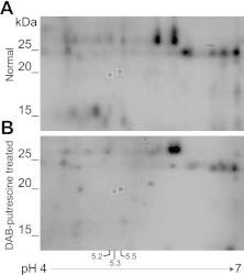 https://cdn.ncbi.nlm.nih.gov/pmc/blobs/b73b/4357829/8b475f108ade/gr1.jpg