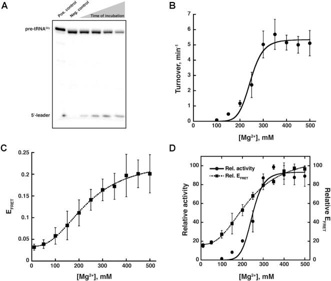 https://cdn.ncbi.nlm.nih.gov/pmc/blobs/b73b/8450104/82e95aacaaa2/gkab655fig4.jpg