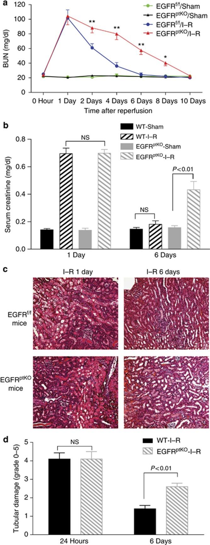 https://cdn.ncbi.nlm.nih.gov/pmc/blobs/b73c/3376310/59832b9b38c0/ki201243f6.jpg