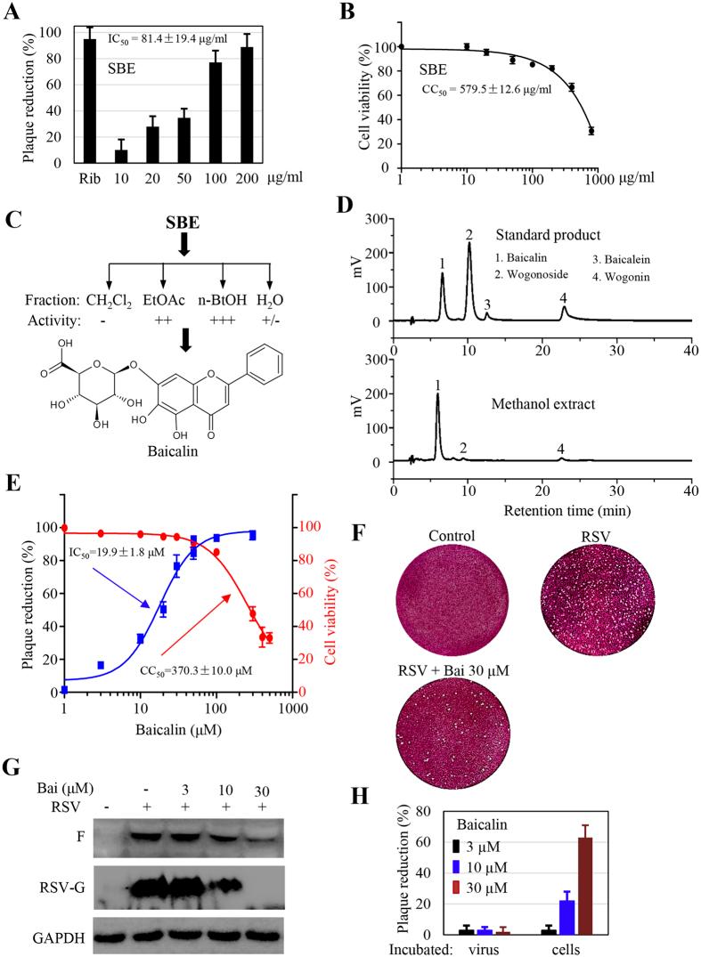 https://cdn.ncbi.nlm.nih.gov/pmc/blobs/b73e/5073294/d4448b75686d/srep35851-f1.jpg