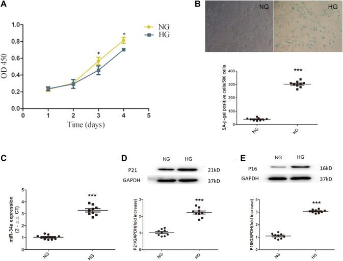 https://cdn.ncbi.nlm.nih.gov/pmc/blobs/b73e/8223511/d45f95170e16/fphar-12-632375-g001.jpg
