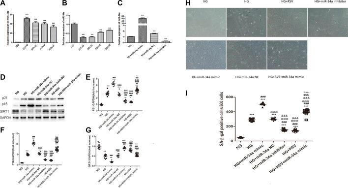 https://cdn.ncbi.nlm.nih.gov/pmc/blobs/b73e/8223511/e629ca328faa/fphar-12-632375-g003.jpg