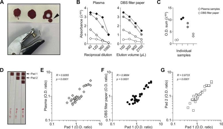 https://cdn.ncbi.nlm.nih.gov/pmc/blobs/b73e/9287463/652cd786e197/gr5_lrg.jpg