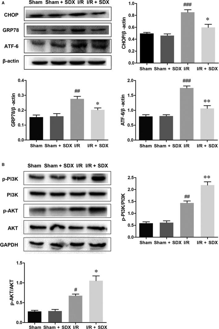 https://cdn.ncbi.nlm.nih.gov/pmc/blobs/b740/6653332/bca633e886f6/JCMM-23-5063-g003.jpg