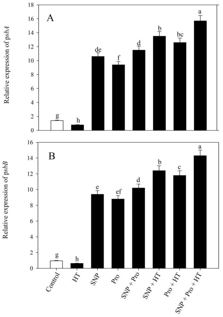 https://cdn.ncbi.nlm.nih.gov/pmc/blobs/b741/10053195/a26e868d9f11/plants-12-01256-g007.jpg