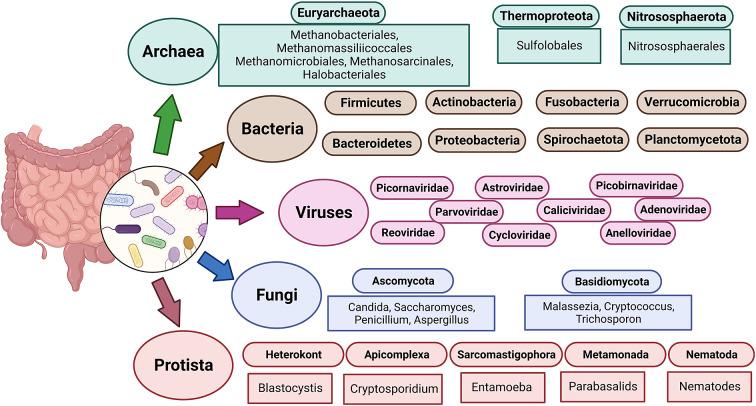 https://cdn.ncbi.nlm.nih.gov/pmc/blobs/b743/11406385/3f34cc13c813/S2632289723000026_fig1.jpg