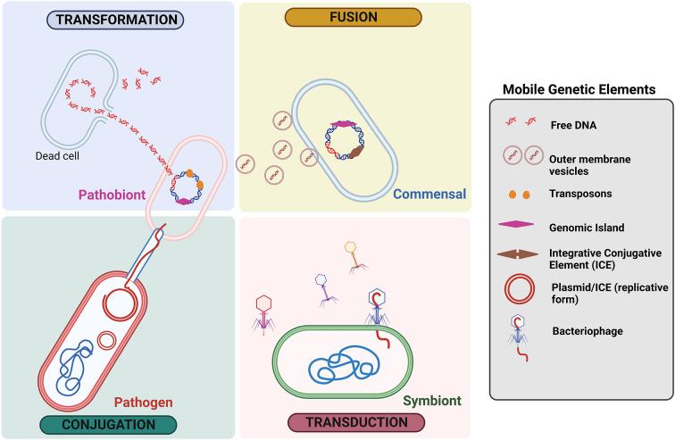 https://cdn.ncbi.nlm.nih.gov/pmc/blobs/b743/11406385/a217b7d5cefb/S2632289723000026_fig2.jpg