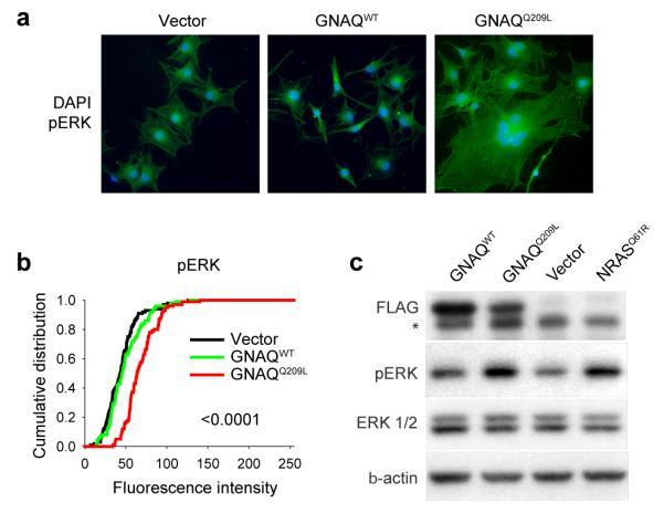 https://cdn.ncbi.nlm.nih.gov/pmc/blobs/b744/2696133/3b5f895d4138/nihms-74666-f0002.jpg