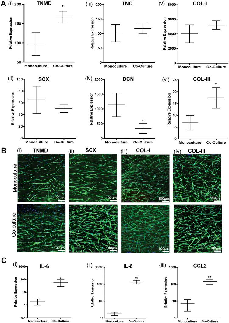 https://cdn.ncbi.nlm.nih.gov/pmc/blobs/b746/11538684/284a985e80ef/ADVS-11-2401170-g006.jpg