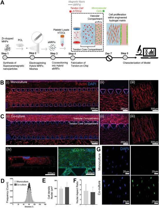 https://cdn.ncbi.nlm.nih.gov/pmc/blobs/b746/11538684/957bba1f71c5/ADVS-11-2401170-g002.jpg